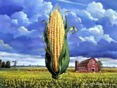 Corn (2).jpg