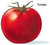 tomato.jpg