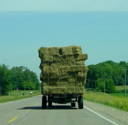 hay wagon.jpg