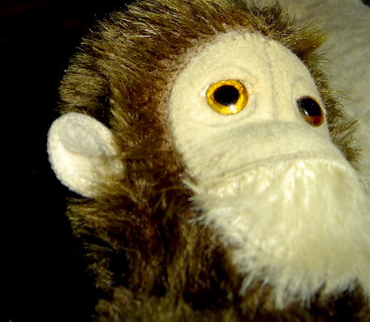 mantle monkey.jpg