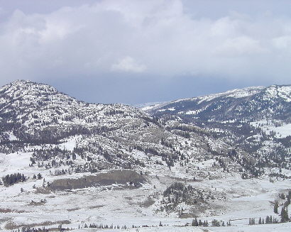 montana winter 7.jpg