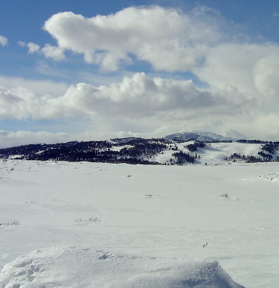 montana winter 9.jpg