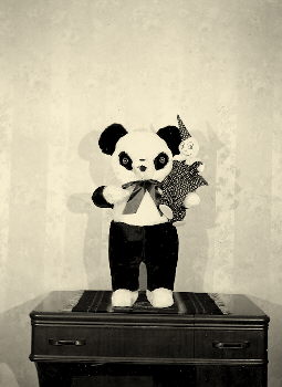 panda clown.jpg