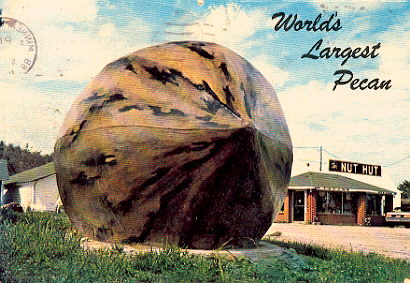 worlds largest pecan.jpg